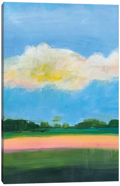 Beneath a Cloudy Sky II Canvas Art Print - Jan Weiss