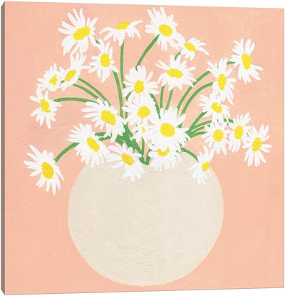 Pink Daisies Canvas Art Print - Jen Wang Studios