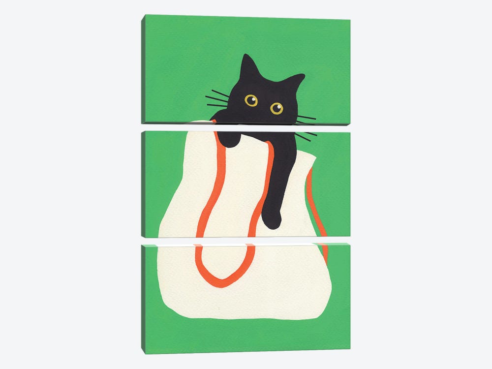 Cat In Bag by Jen Wang Studios 3-piece Canvas Wall Art