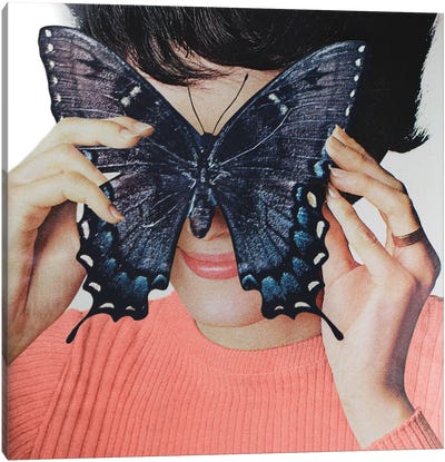 Morpho Butterfly Canvas Art Print - Julia Walck