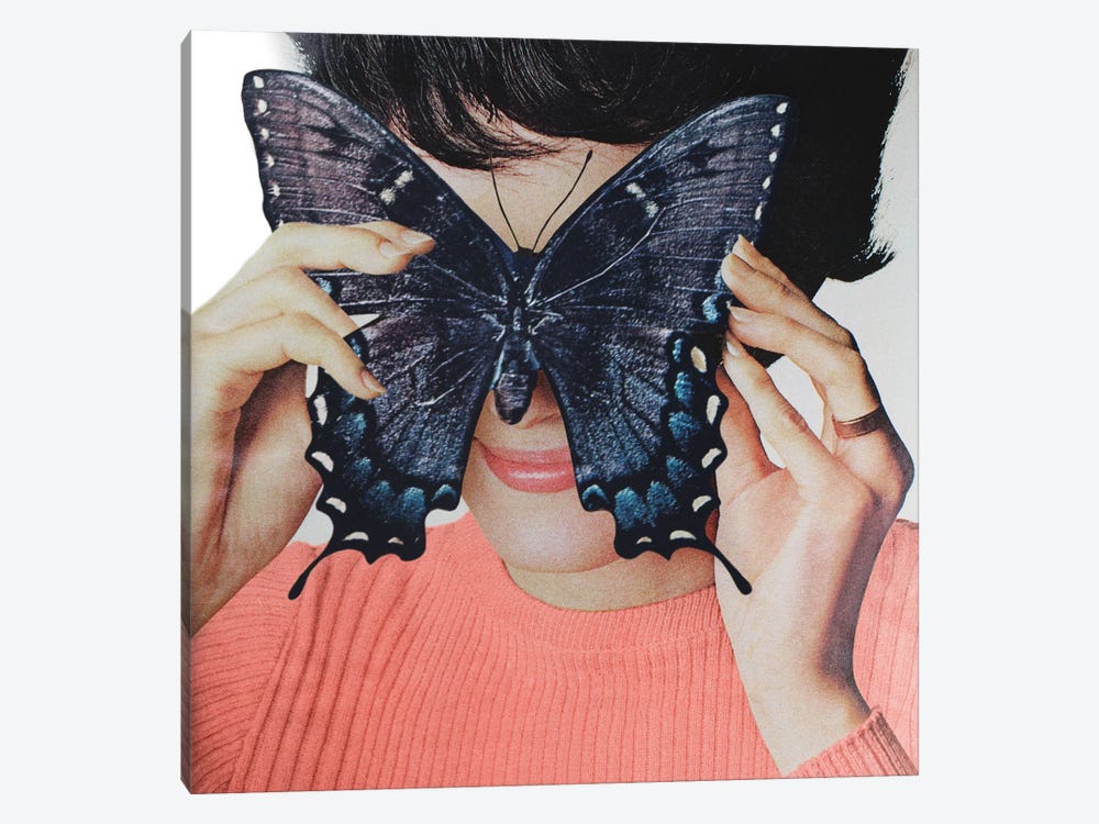 Morpho Butterfly by Julia Walck 1-piece Canvas Wall Art