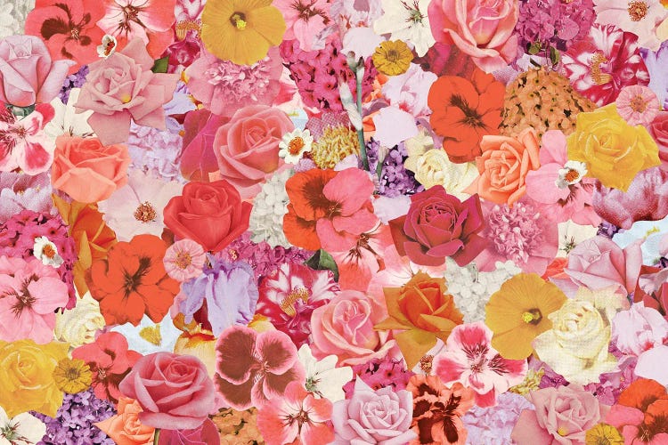 Super Bloom by Julia Walck wall art