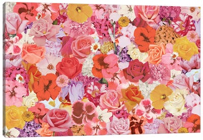 Super Bloom Canvas Art Print - Julia Walck