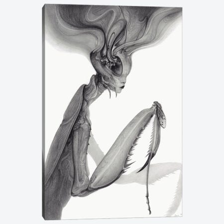 Mantis Canvas Print #JWL33} by Jamie Wells Art Print
