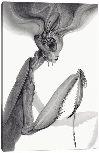 Mantis Canvas Art Print - Jamie Wells