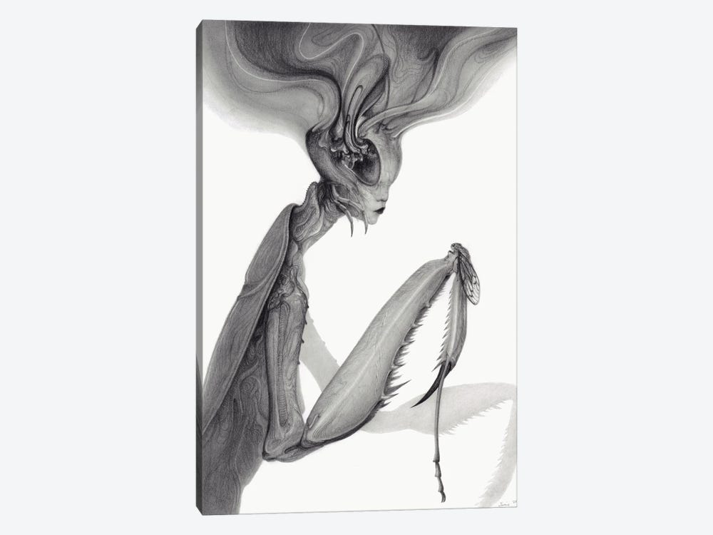 Mantis by Jamie Wells 1-piece Art Print