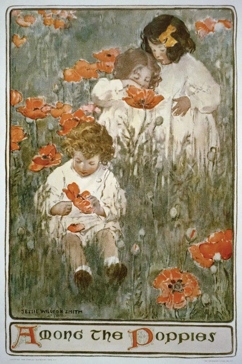 Among The Poppies
