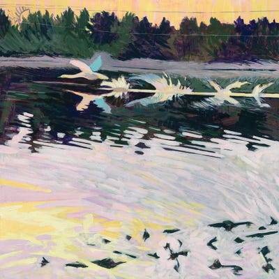 Swan Taking Flight by Justin Shull metal wall art