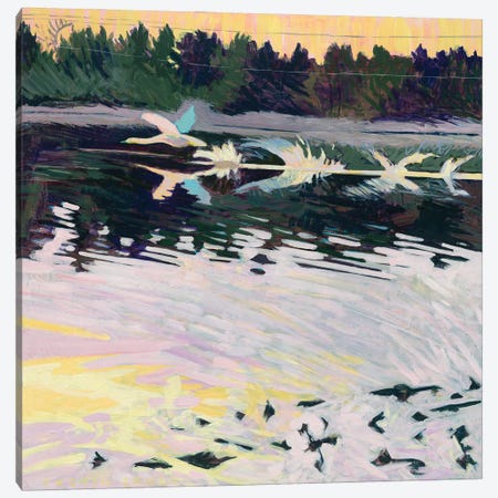 Swan Taking Flight Canvas Print #JXH12} by Justin Shull Canvas Print
