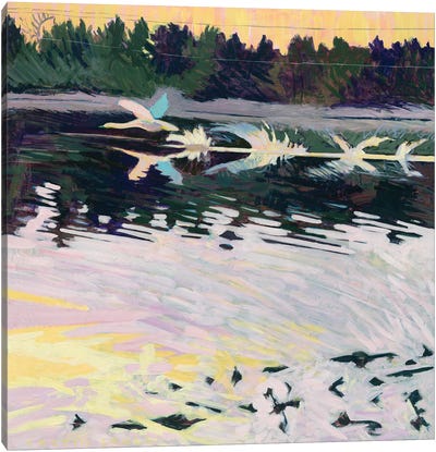 Swan Taking Flight Canvas Art Print - Swan Art