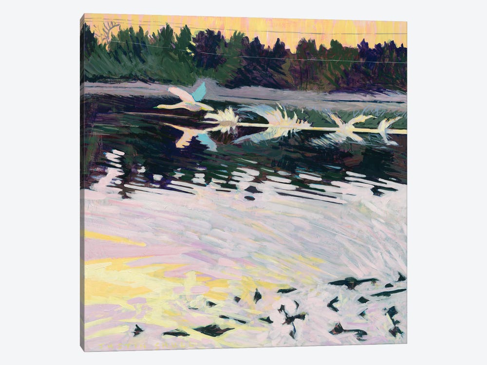 Swan Taking Flight by Justin Shull 1-piece Canvas Wall Art