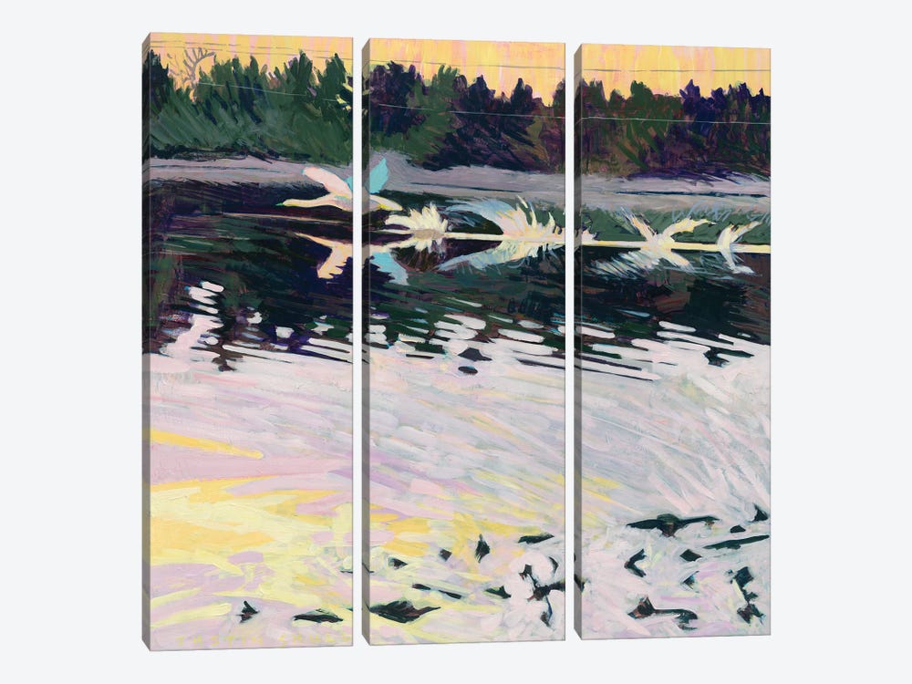 Swan Taking Flight by Justin Shull 3-piece Canvas Artwork