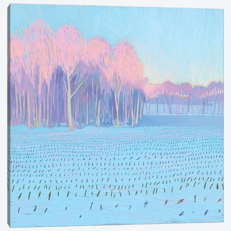 Blue Fields II Canvas Print #JXH17} by Justin Shull Canvas Art