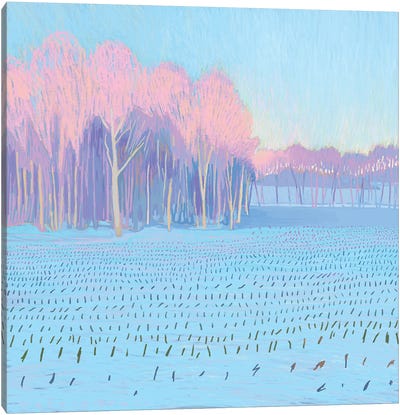 Blue Fields II Canvas Art Print - Pops of Pink
