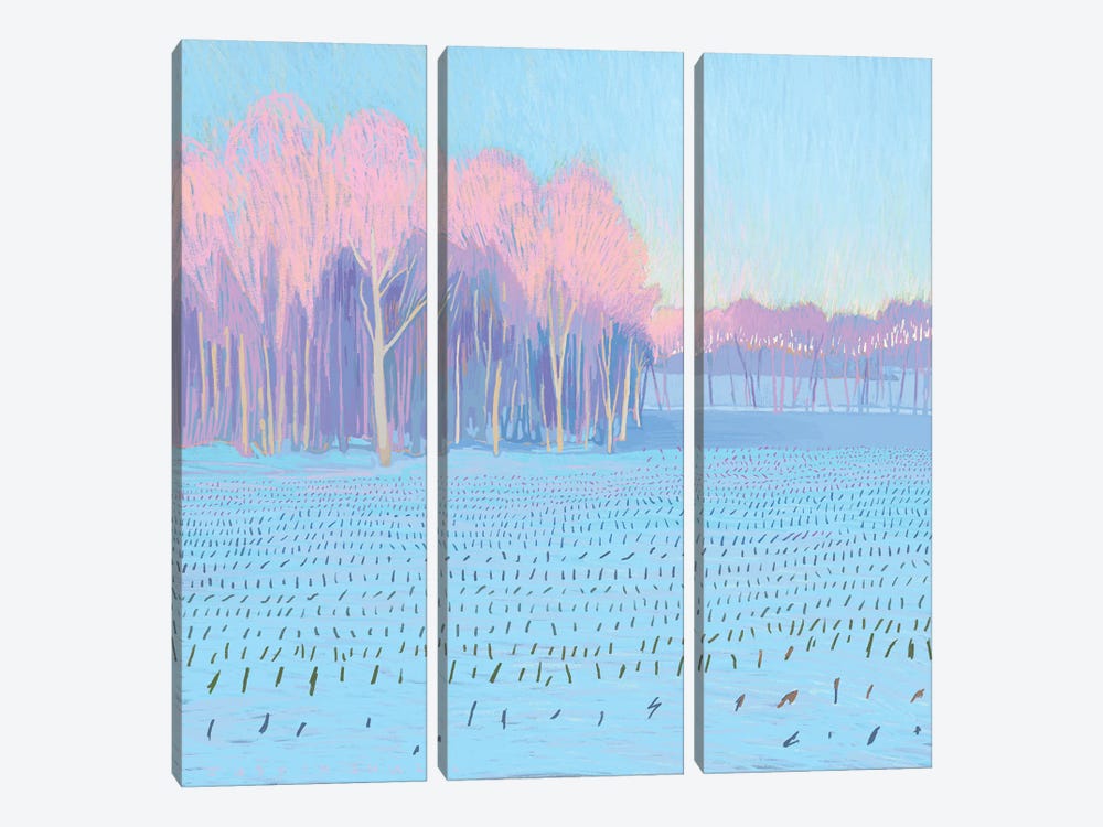 Blue Fields II by Justin Shull 3-piece Canvas Print