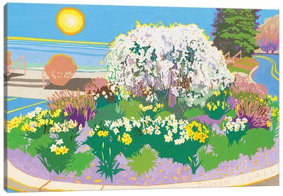 Weeping Cherry Canvas Art Print - Garden & Floral Landscape Art