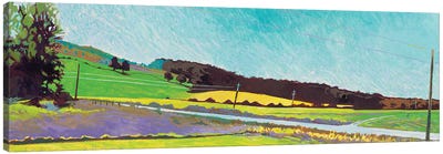 Lavender Field Canvas Art Print - Hill & Hillside Art