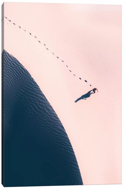 Dark Side Of The Dune Canvas Art Print - Aerial Beaches 