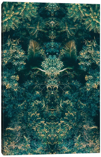 Abstract Jungle I Canvas Art Print - Jaxon Roberts