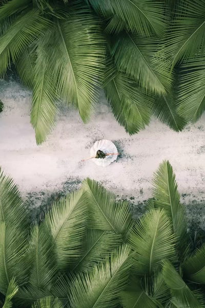 Jaxon Roberts: Lost In The Jungle I by Jaxon Roberts