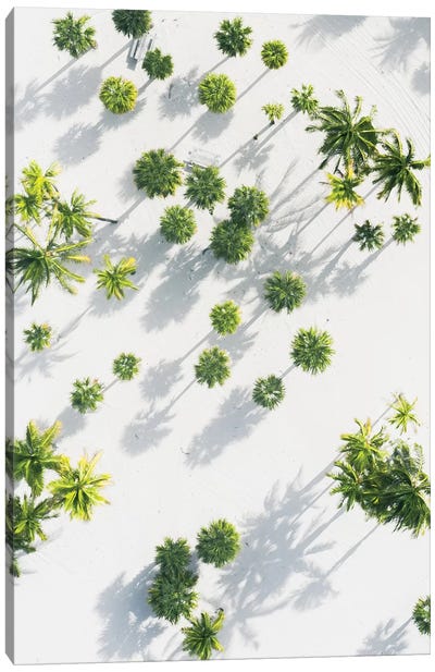 Palm Tree Paradise High Res Canvas Art Print - Aerial Beaches 