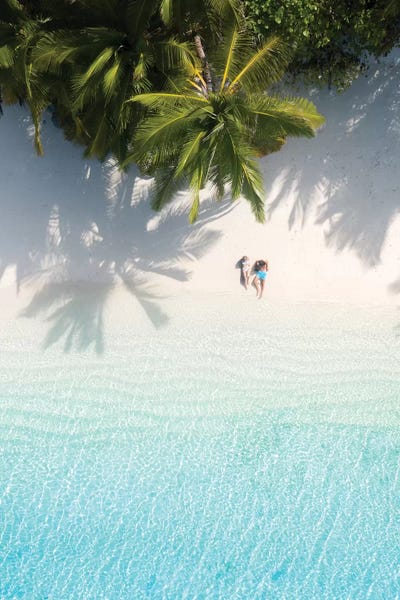 Pure Paradise by Jaxon Roberts canvas print