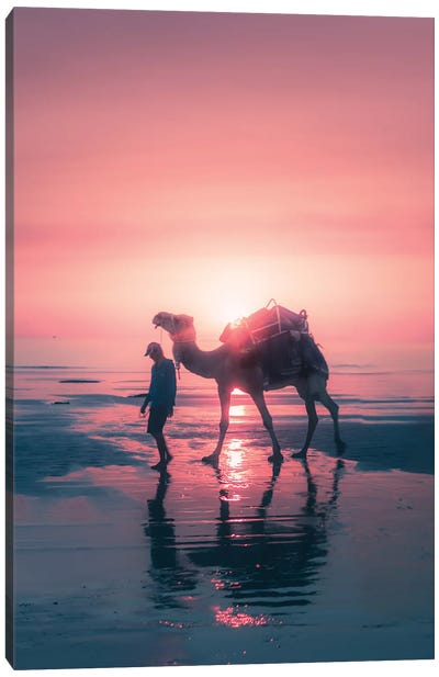 Sunset Camel Canvas Art Print - Beach Sunrise & Sunset Art