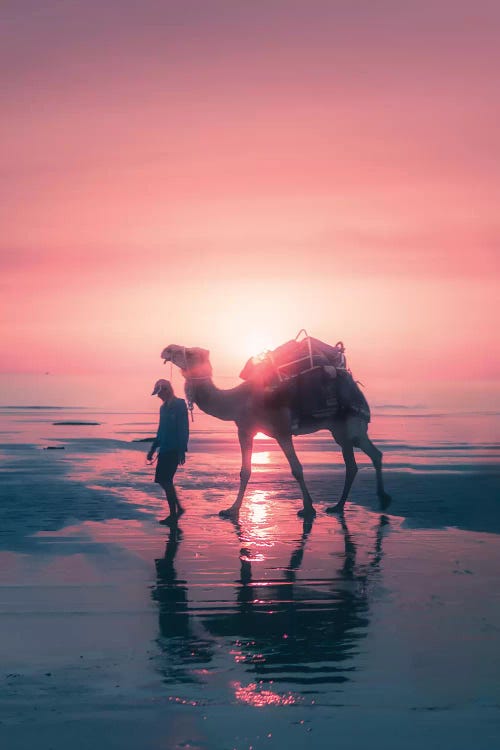 Sunset Camel by Jaxon Roberts wall art