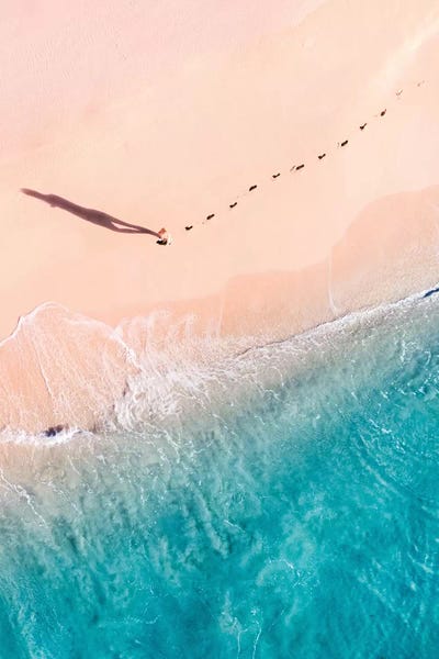 Sunset Shoreline I