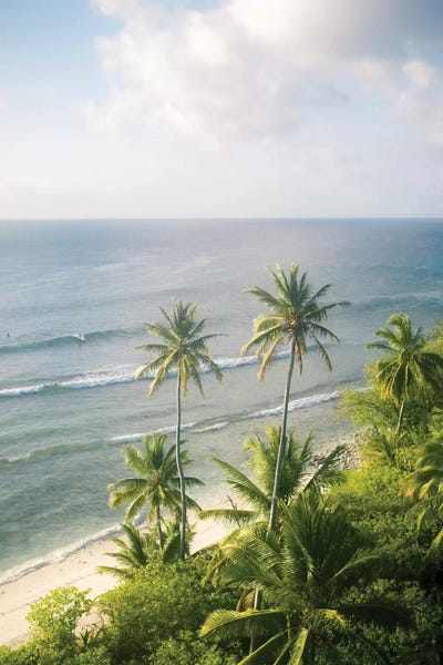 Jaxon Roberts: The Cocos Islands II by Jaxon Roberts