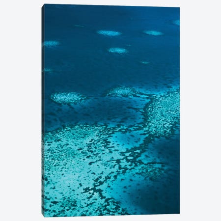 The Reef Canvas Print #JXR73} by Jaxon Roberts Art Print
