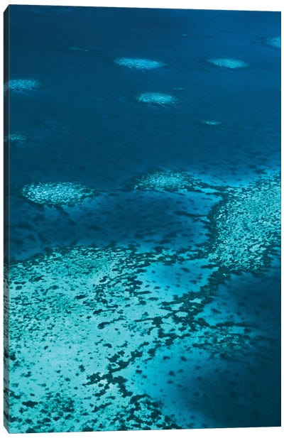 The Reef Canvas Art Print - Jaxon Roberts
