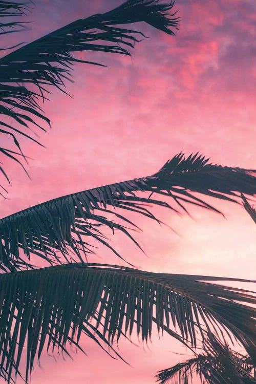 Tropical Sunset I