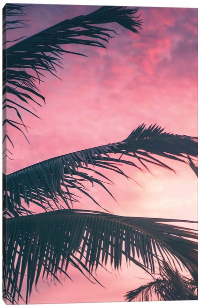 Tropical Sunset I Canvas Art Print - Jaxon Roberts