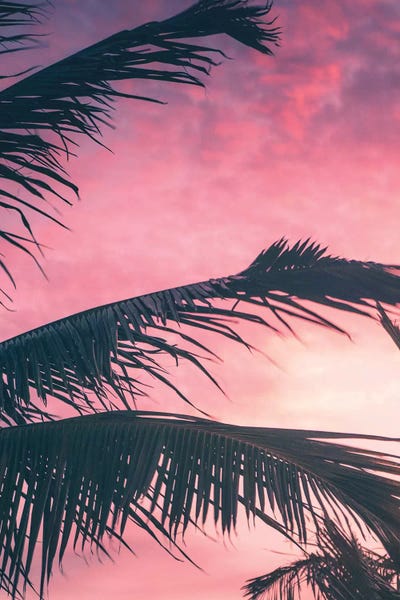 Jaxon Roberts: Tropical Sunset I by Jaxon Roberts