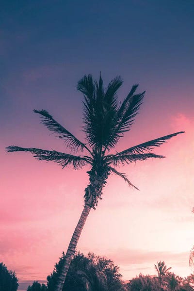 Tropical Sunset II by Jaxon Roberts framed wall art