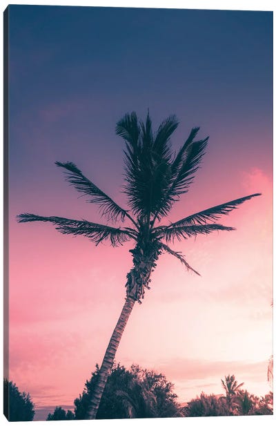 Tropical Sunset II Canvas Art Print - Jaxon Roberts
