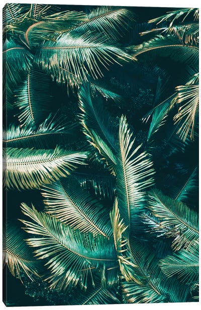 Tropical VIbes Canvas Art Print - Tree Close-Up Art