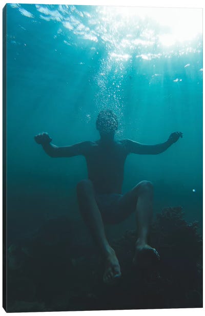 Underwater Mood Canvas Art Print - Jaxon Roberts
