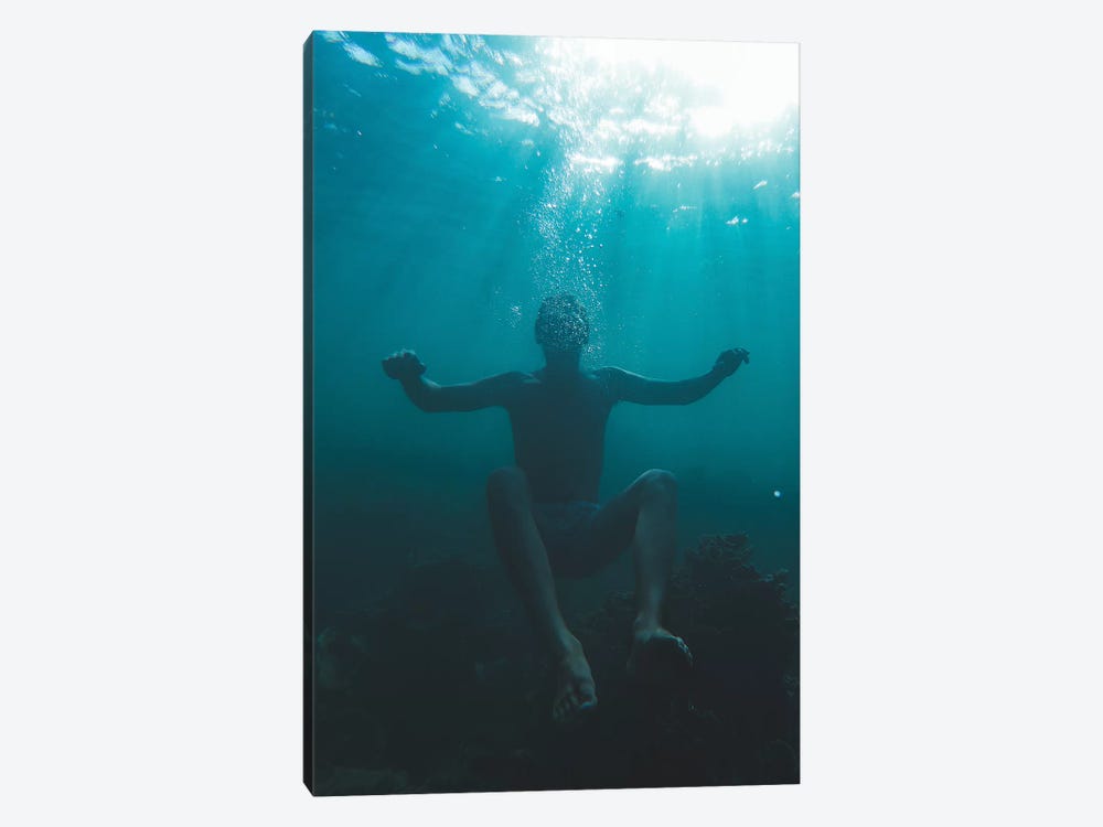 Underwater Mood by Jaxon Roberts 1-piece Canvas Print