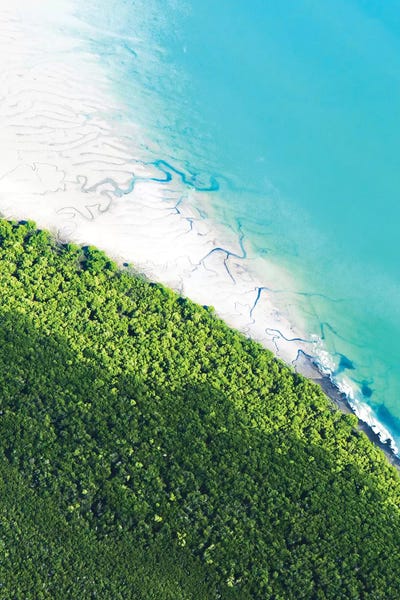 Jaxon Roberts: Vibrant Australia by Jaxon Roberts