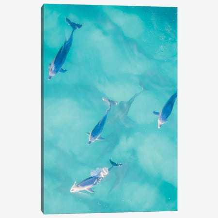 Cruisy Dolphins I Canvas Print #JXR8} by Jaxon Roberts Canvas Art