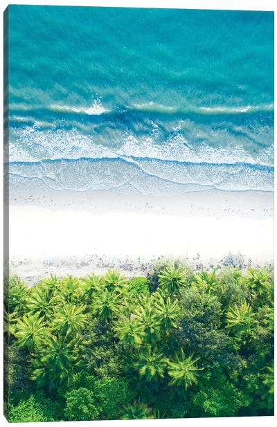 Where The Jungle Meets The Sea I Canvas Art Print - Aerial Photography