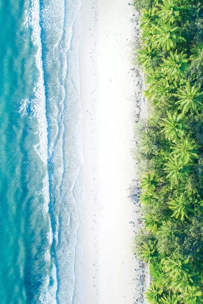 Jaxon Roberts: Where The Jungle Meets The Sea II by Jaxon Roberts