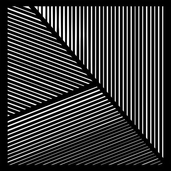 Black & White Patterns: Controlled Chaos I by Jim Schlotzhauer