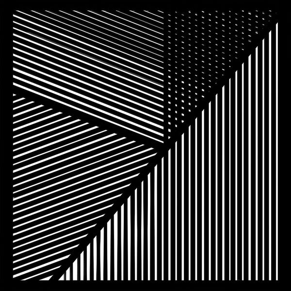 Black & White Patterns: Controlled Chaos IV by Jim Schlotzhauer
