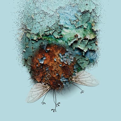 Multi Panel Art: Cocoon by Jeffrey Coleson