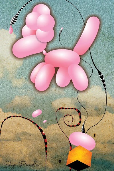 Jeffrey Coleson: Sky Poodle by Jeffrey Coleson