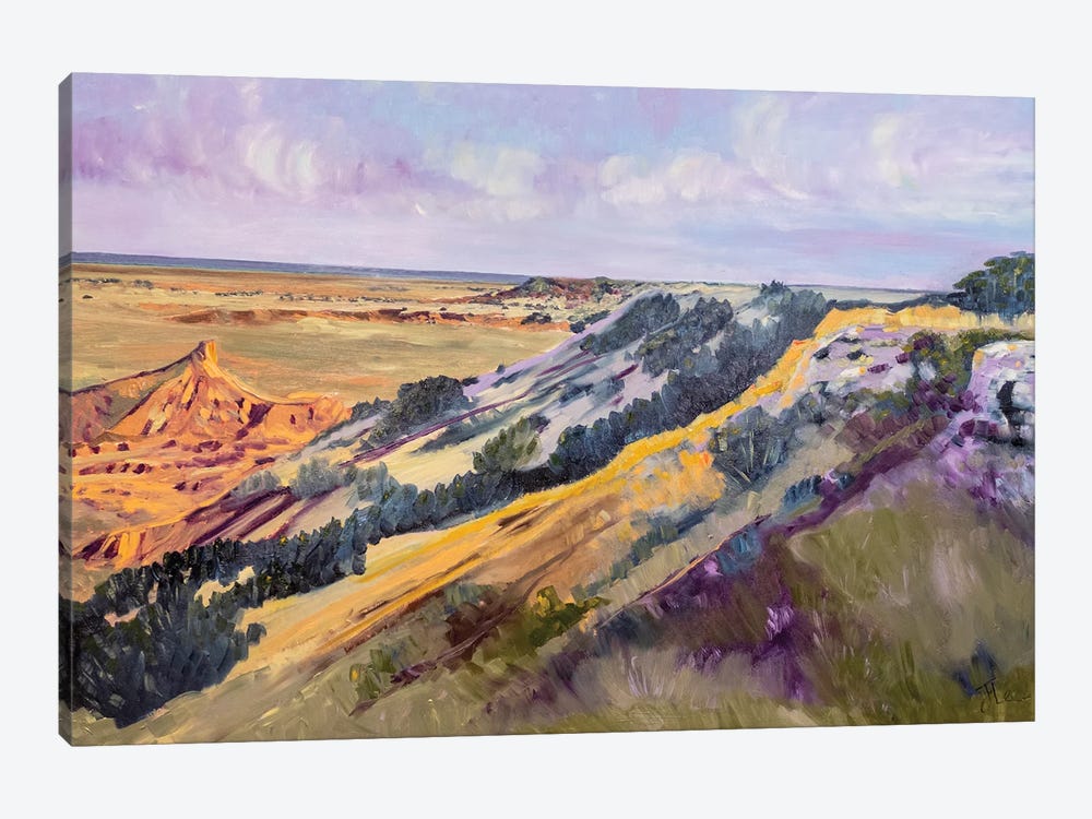 Gloss Mountain by Jenny Lee 1-piece Canvas Artwork