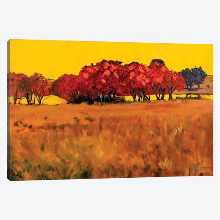 Red Trees Canvas Print #JYE13} by Jenny Lee Canvas Print